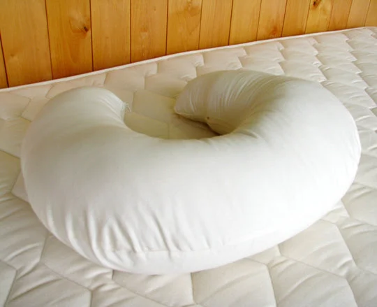 Super Savings Holy Lamb Organics "Bo Peep" Nursing Pillow | Organic Made in USA