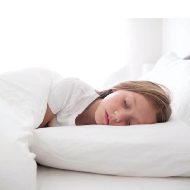 Stock Up and Save Final Sale: Pillowtex Allerban Polyester Pillow | Medium Support