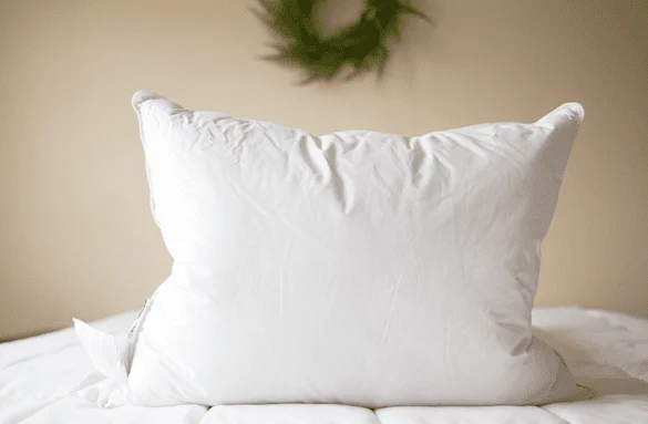 Year-End Sale Pillowtex Luxury Core Down and Feather Pillow | 25% Feather/75% Down